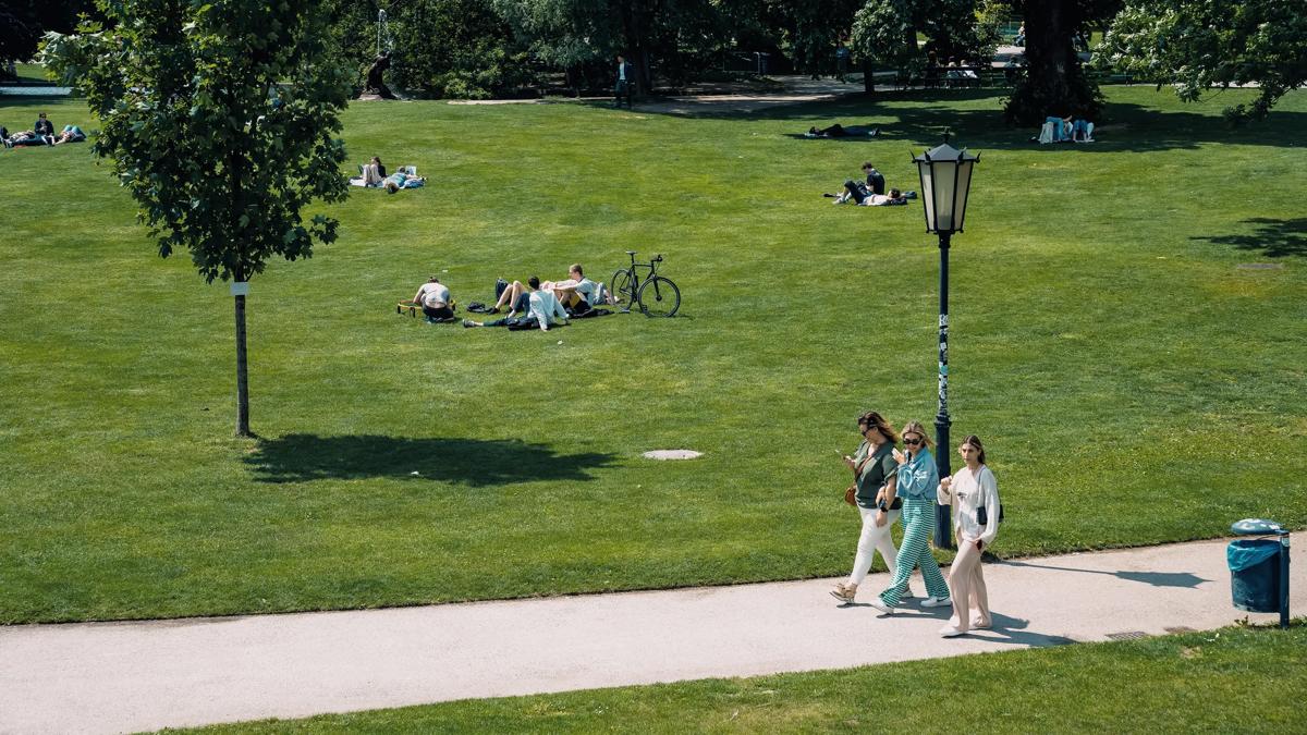 People relax on the grass in a sunny park. Three people walk together on a path in the foreground. A tree, a lamp post, and a bike are also visible.