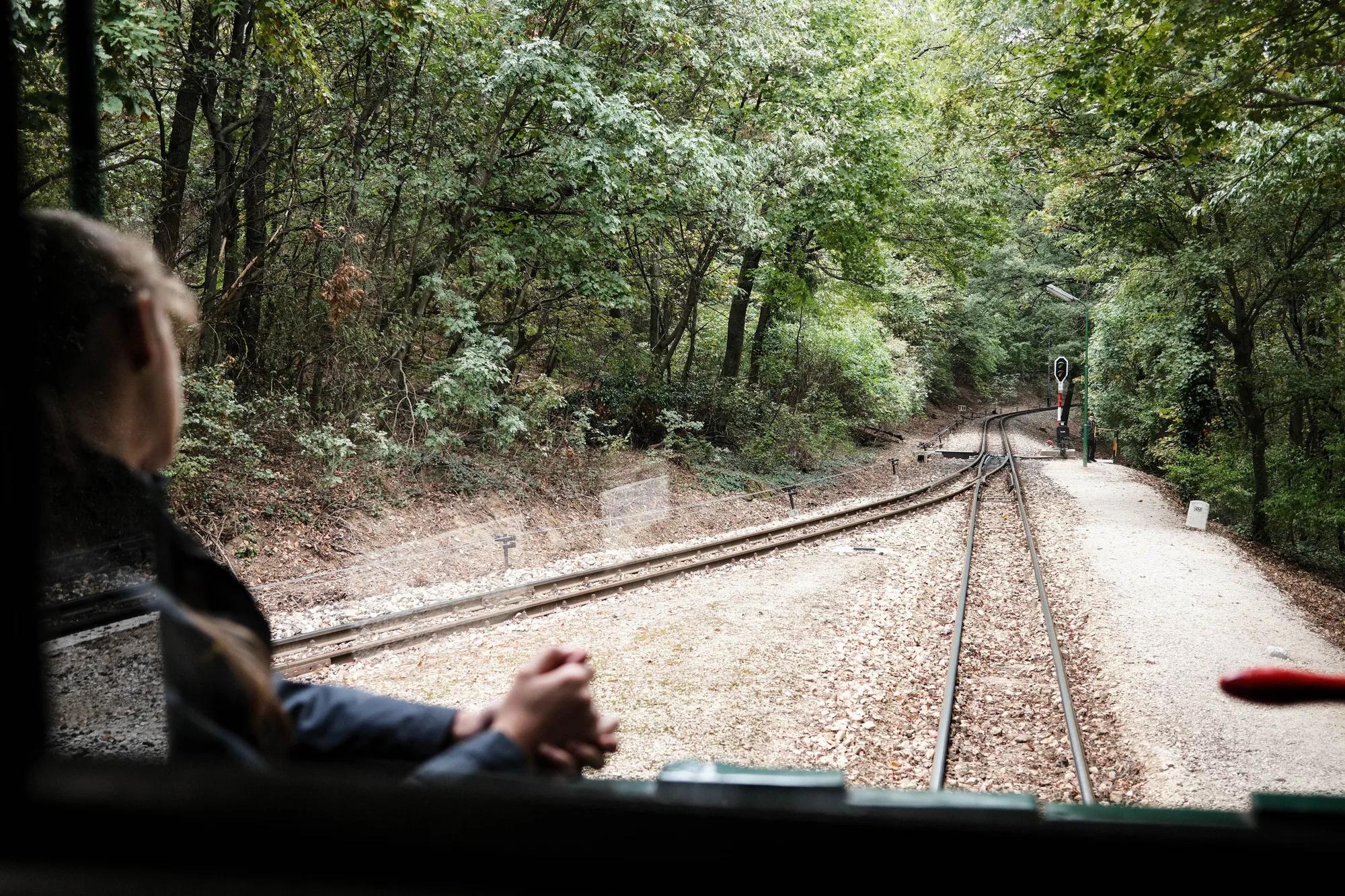 View from a train journey through a lush forest landscape during daylight.