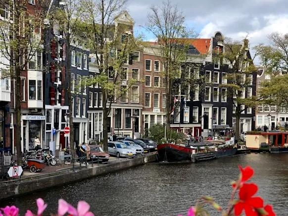 Unas flores de color rosa intenso en primer plano dan a un canal de Ámsterdam, bordeado de barcos y de las clásicas casas estrechas, bajo un cielo parcialmente nublado.